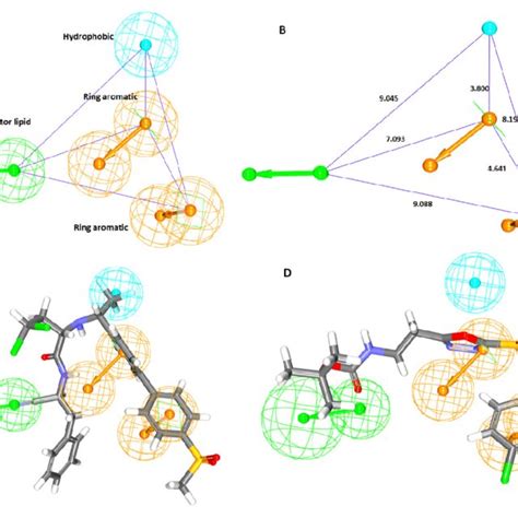 Generated Pharmacophore Hypo With Its Features And Geometry A