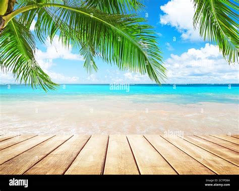 Coconut Palm Trees Against Blue Sky And Beautiful Beach In Punta Cana