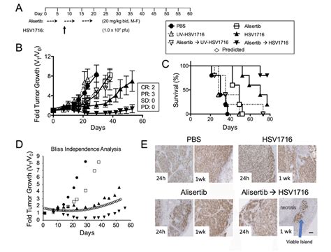 Alisertib And HSV1716 Are Synergistic In MPNST Xenografts A Mice