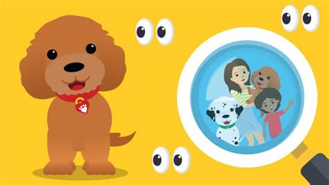 Find Waffle the Wonder dog in this hide and seek quiz. - CBeebies - BBC