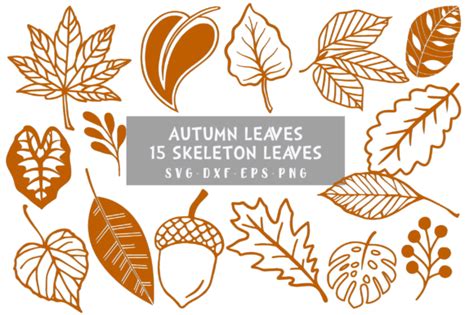 Autumn Leaves, Leaves Svg Graphic by wildflowers1994 · Creative Fabrica