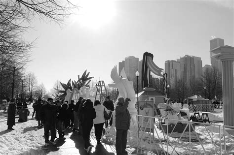 Photo Therapy: Snow Sculptures, Navy Pier, Chicago