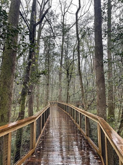 Congaree National Park : r/NationalPark