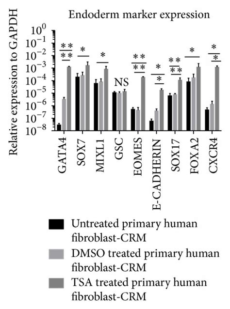 Trichostatin A Tsa Treatment Of Primary Adult Fibroblasts Induces