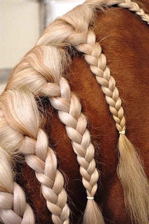 30 Amazing Horse Tail Braids Ideas to make Your Friends Jealous - Tail and Fur