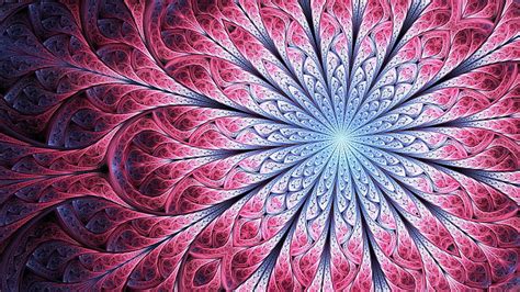 Hd Wallpaper Mandala Illustration Abstract Fractal Symmetry