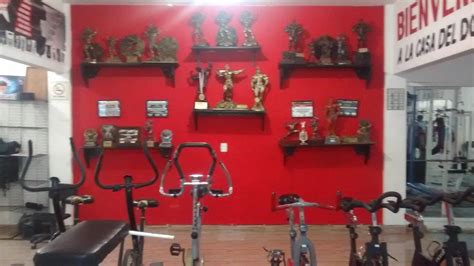 Omega Gym Fotos Y Opiniones Del Gimnasio Opciones De Suscripci N