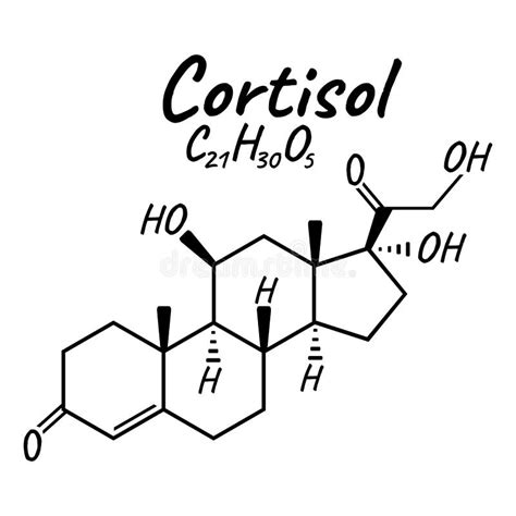 Concepto De Hormona Humana Cortisol Fórmula Química Esquelética