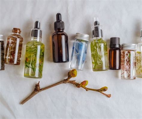 Best Essential Oils for Beginners: A Guide for the Newbie