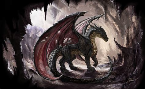 Dark Dragon Wallpapers Top Free Dark Dragon Backgrounds Wallpaperaccess