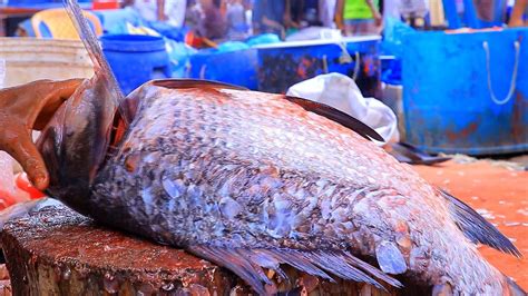 Big Katla Fish Cutting By Expert Fish Cutter Fish Cutting Skills