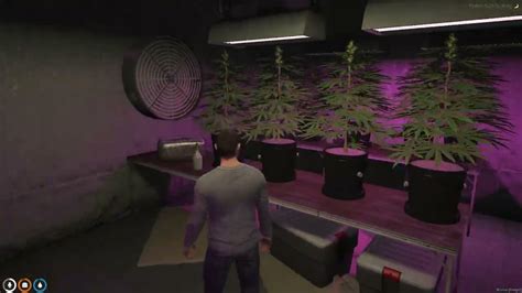 Fivem Secret Weed Farm Mlo Youtube