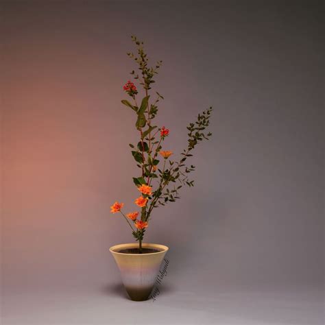 Ikebana Ikenobo Shoka Shofutai Sanshu Ike Gyakugatte Ikebana Crafts