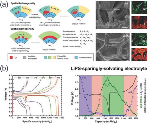 Intrinsic Homogeneous Mediators Of LiPSs A Left Schematic Of How