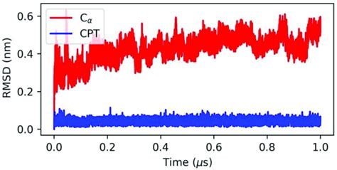 Root mean square deviation RMSD relative to 1 µs of simulation The