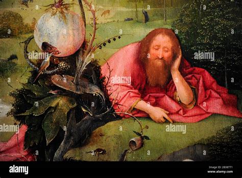 Hieronymus Aeken Bosch Fotos Und Bildmaterial In Hoher Aufl Sung Alamy