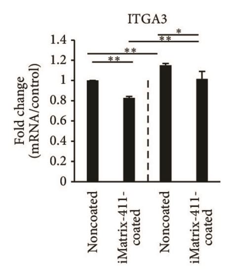 Gene Expression Level Of Osteoodontogenic Markers And Integrins Was