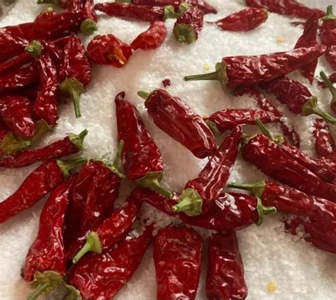 Wonder Hot Dry Red Chilli At Kg Dry Red Chilli In Dharmabad