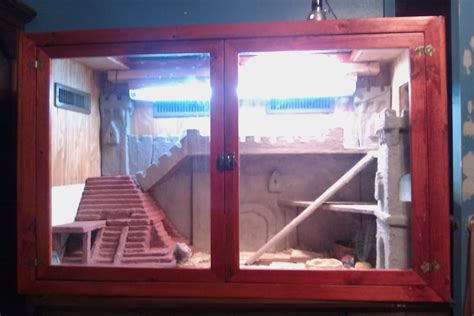 Bearded Dragon Castle Set Up Bearded Dragon Habitat Bearded Dragon