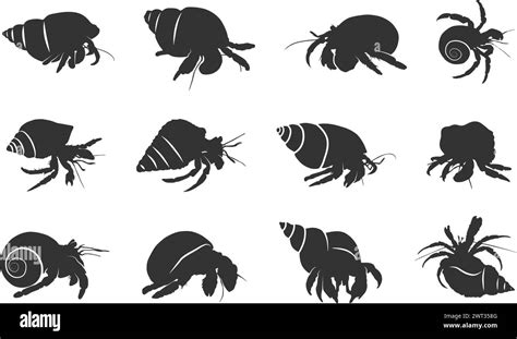 Hermit Crab Silhouettes Hermit Crab Hermit Silhouette Hermit Crab