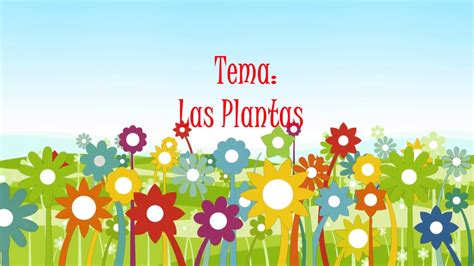 Las plantas Canción infantil YouTube