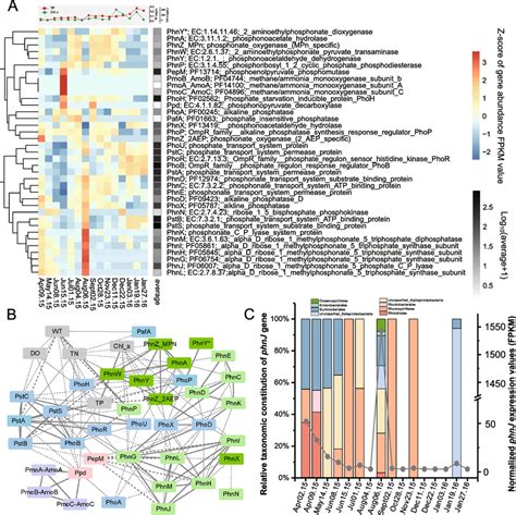 Metatranscriptomic Analysis And Environmental Relationships Of Genes