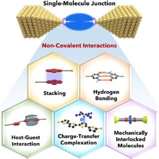 Schematic Of Different Non Covalent Interactions Featured In A