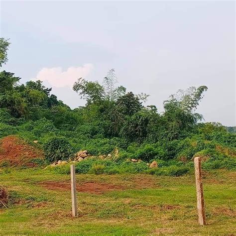 Residential Farm Lot In Lagundi Morong Rizal Leigh S Farm Lot