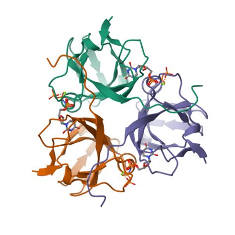 Rcsb Pdb 3tq3 Crystal Structure Of M Pmv Dutpase With A Mixed Population Of Substrate Dupnpp