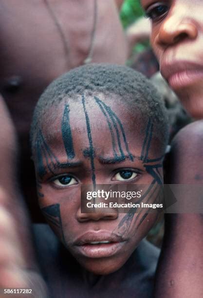 The Ituri Forest Photos and Premium High Res Pictures - Getty Images