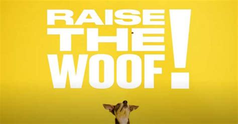 Raise The Woof Une Chanson Pour Les Chiens Sur Youtube