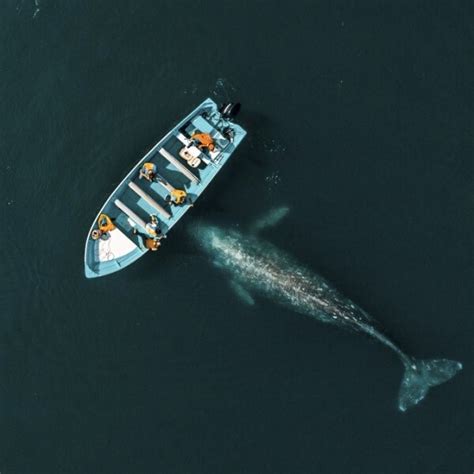 Las 5 Mejores Fotos De México… ¡tomadas Por Un Dron