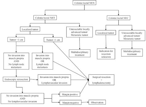 Surgical Approach For Nens Of The Colon And Rectum Nec Neuroendocrine