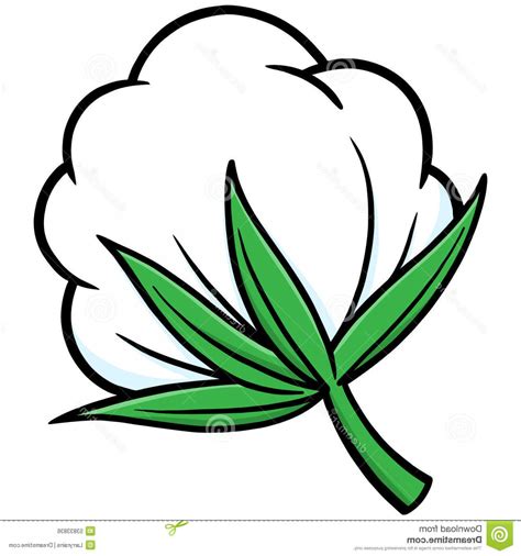 cotton plant clip art 19 free Cliparts | Download images on Clipground 2024