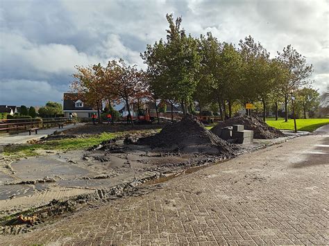 Fotonieuws Actie Steenbreek tegel eruit plant erin WâldNet