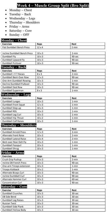 12 week dumbbell workout plan pdf free and printable justfit – Artofit