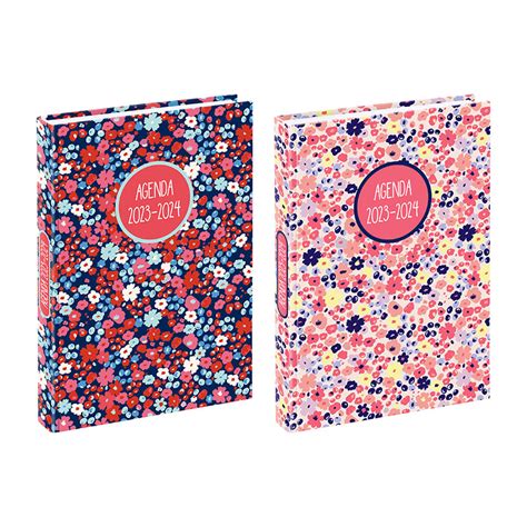 Agenda Liberty 1 Jour Par Page 12 X 17 Cm Rose Ou Bleu Viquel