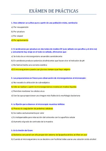 Examen De Practicas Pdf