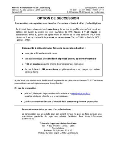 Formulaire Option De Succession Tribunal D Arrondissement De