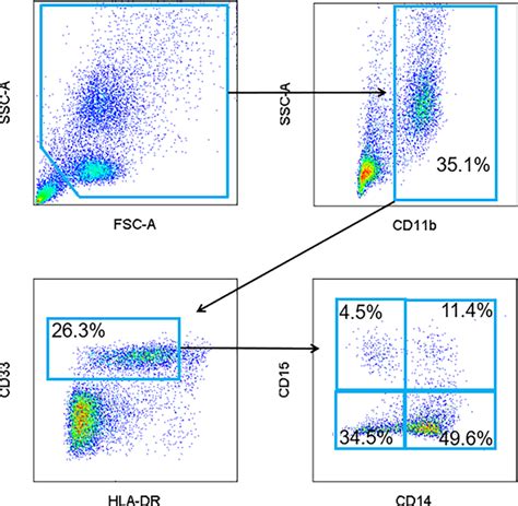 Representative Flow Cytometry Gating Strategy For Mdsc Peripheral