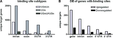 Genomic Distribution Of Tbph Binding Sites Genes With More Than One