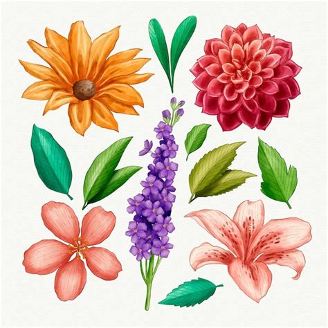 Colecci N De Flores Pintadas A Mano Vector Gratis