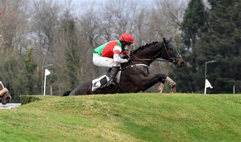 Les Courses Hippodrome De PAU