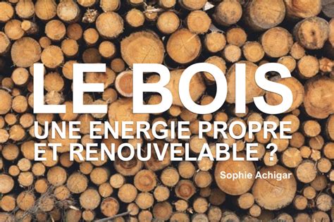 Le Bois Une énergie Propre Et Renouvelable Blog De Lisige