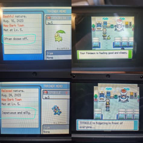 Played through SoulSilver so many times and never noticed the unique ...