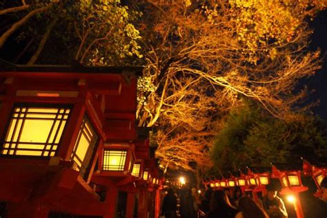 【京都 貴船神社の紅葉2024年版】貴船もみじ灯篭の必見！見どころやアクセス方法、駐車場について解説！ じゃぱたびっくす