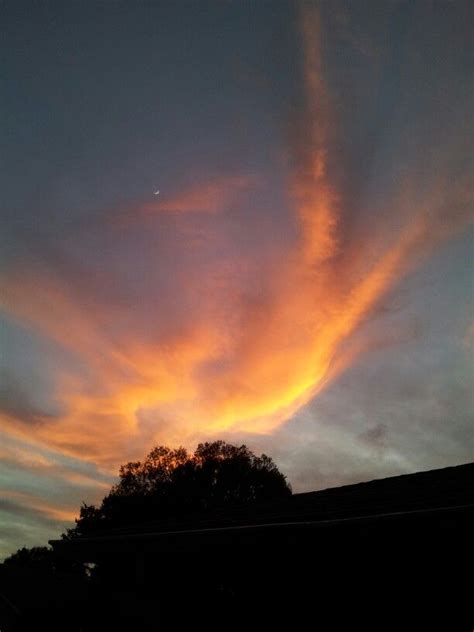 Florida night sky | Night skies, Sky, Photo