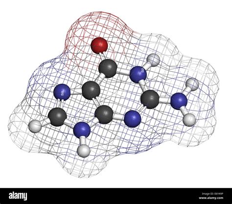 Guanine G Purine Nucleobase Molecule Base Present In Dna And Rna Atoms Are Represented As