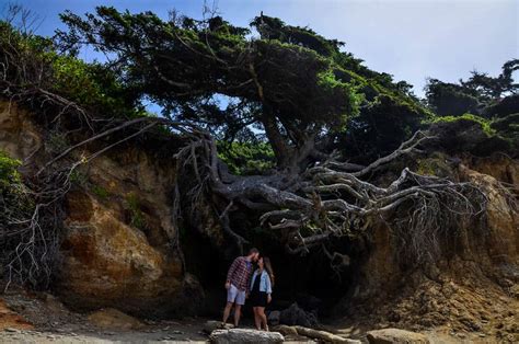 12 Best Olympic National Park Beaches to Explore - Go Wander Wild