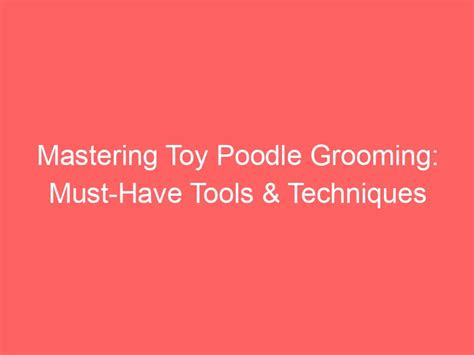 Mastering Toy Poodle Grooming: Must-Have Tools & Techniques - Li'l Toy ...